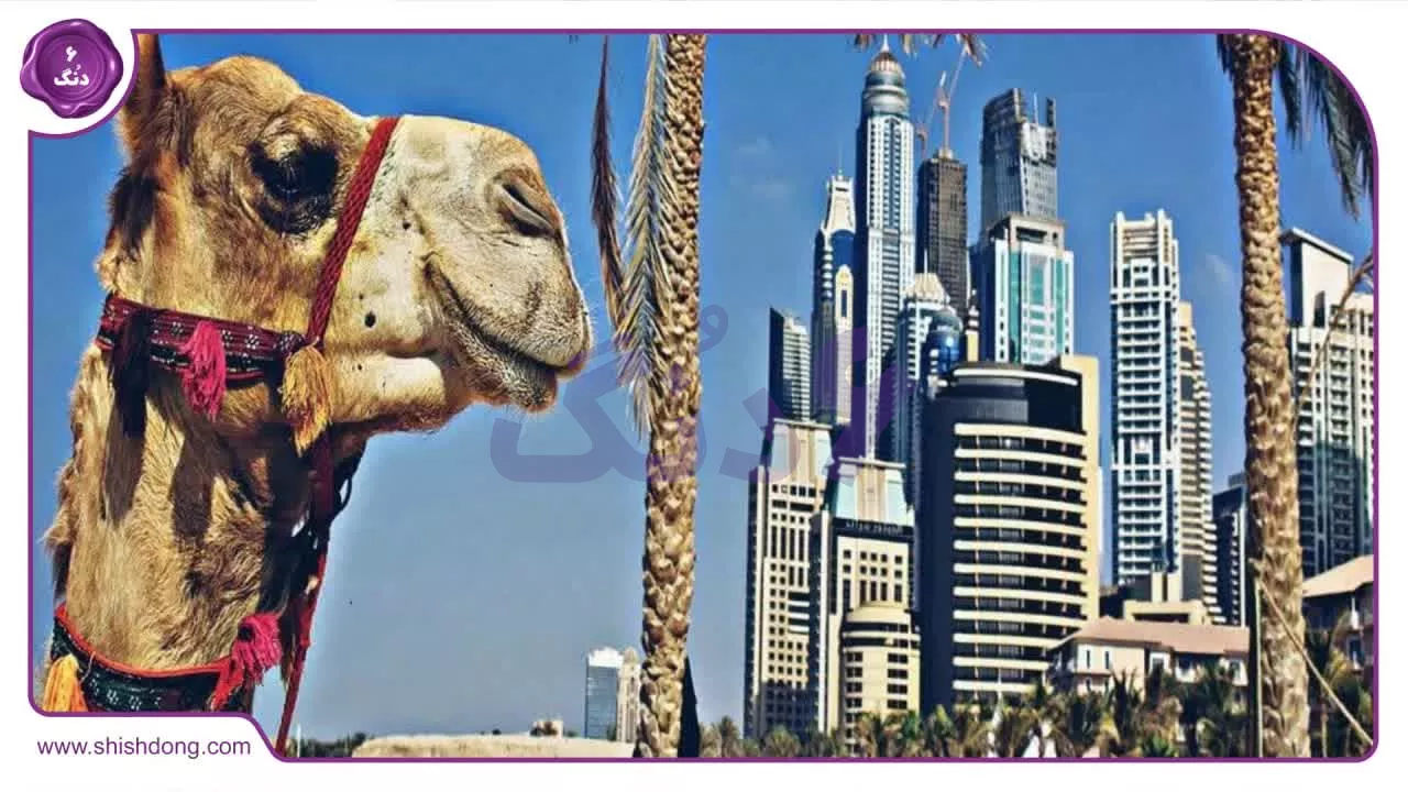قوانین ساخت وساز امارات