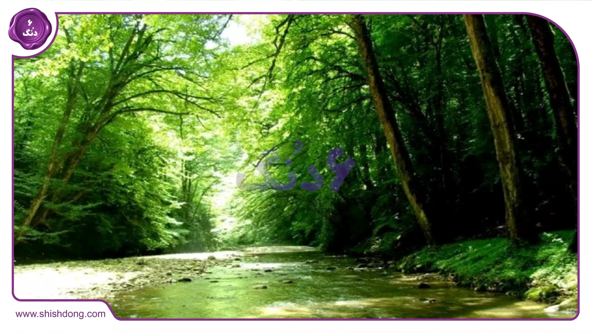 نمای جنگلی شیرگاه