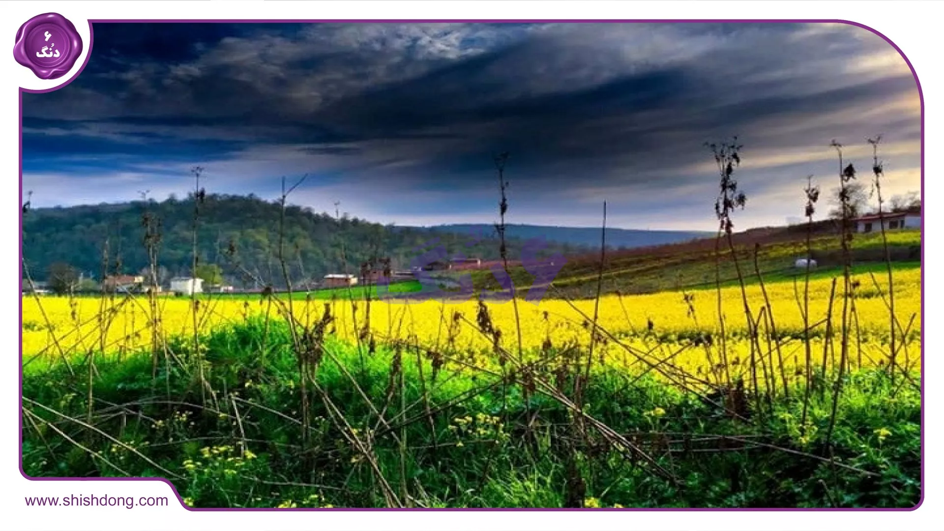طبیعت زیبای نکا
