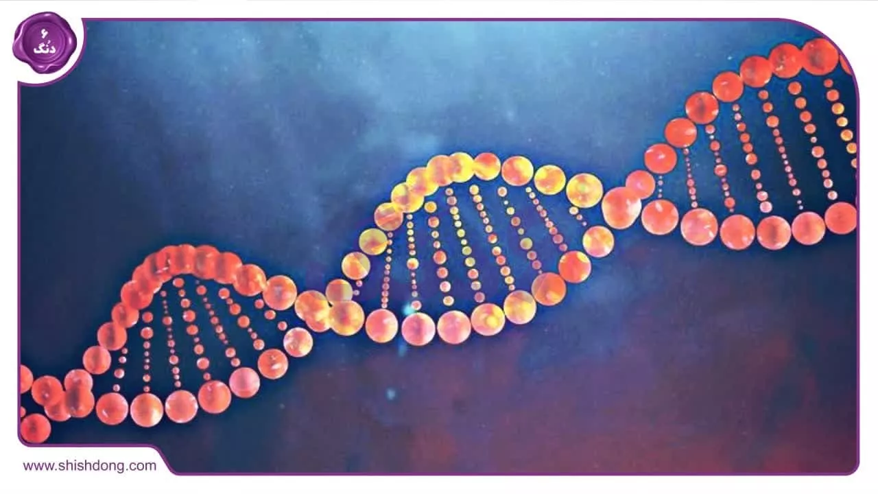 تغییرات DNA