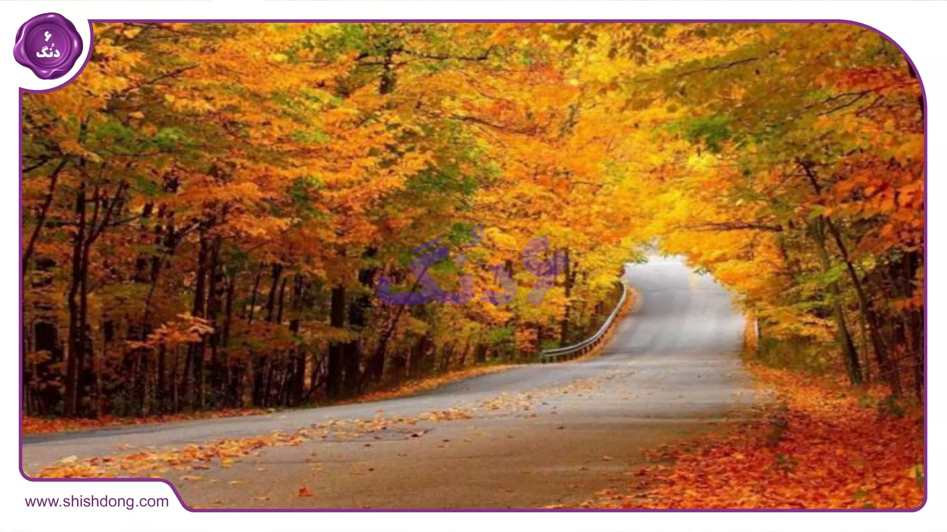 پارک جنگلی سراوان نزدیک رشت برای سرمایهگذاری