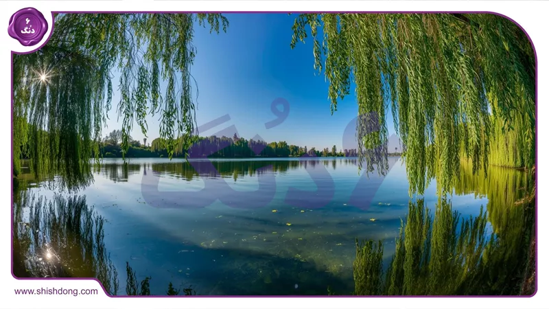 تالاب سوستان لاهیجان