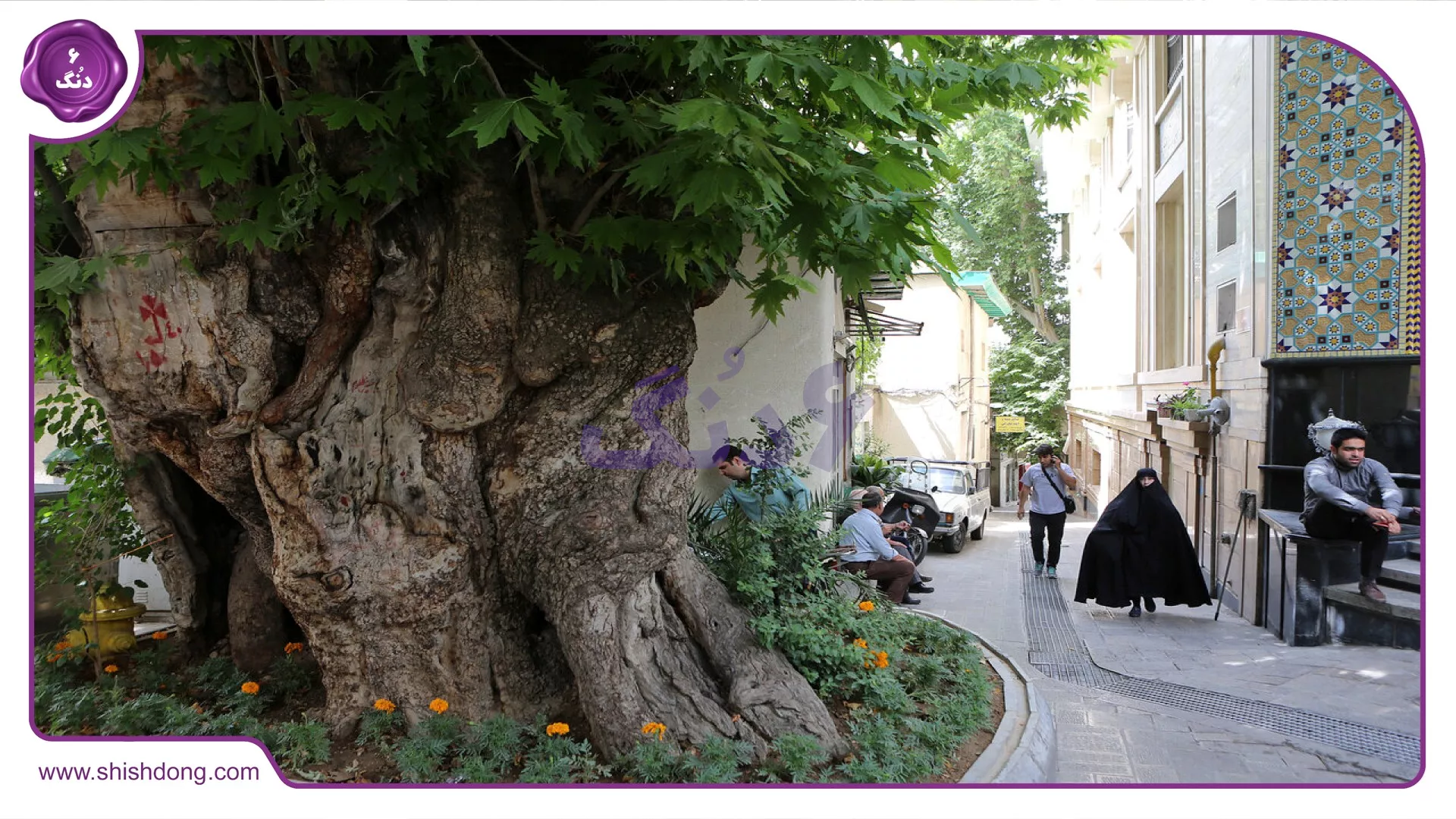 جماران تهران منطقه چنده: منطقه ۱ با دسترسی به بیمارستان جماران تهران
