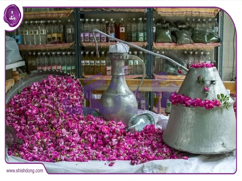 گلاب‌گیری قمصر کاشان کجاست، مراحل گلاب‌گیری قمصر