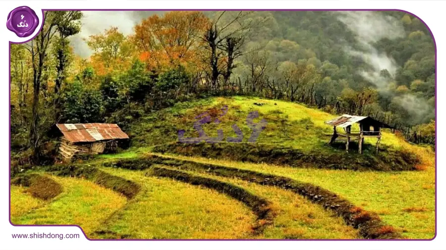 پارک جنگلی خرماچال عباس آباد برای پیک‌نیک