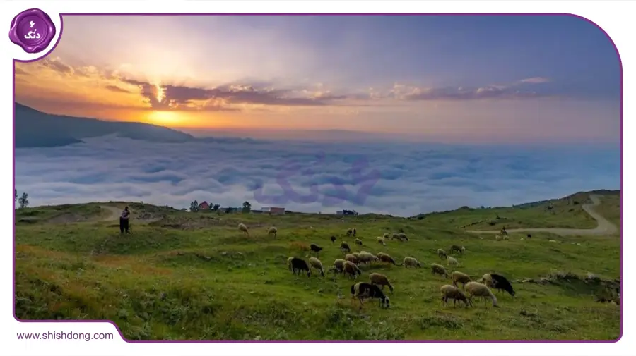 روستای مازیچال عباس آباد برای ییلاق