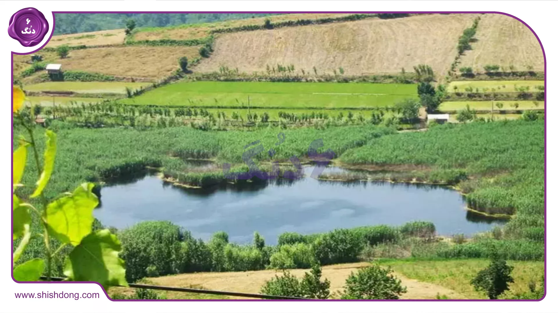 طبیعت شهر نکا