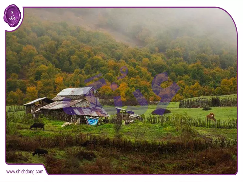 نمایی از طبیعت سیاهکل گیلان