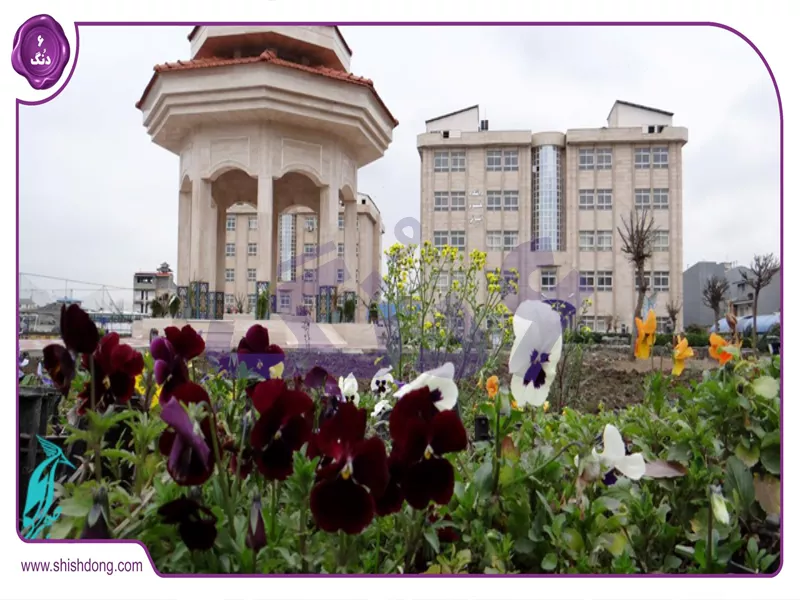 کوی دانشگاه رشت