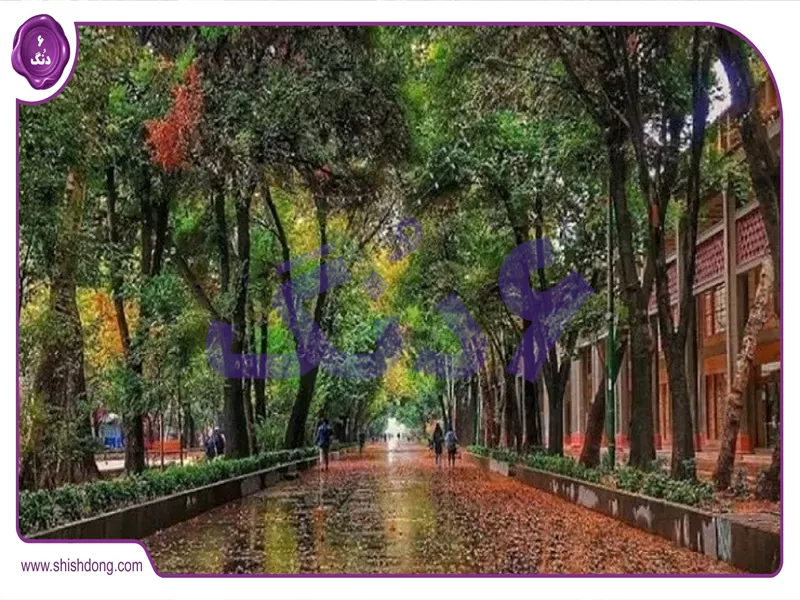 محله چهارباغ - بهترین محله برای مهاجرت معکوس ۱۴۰۴