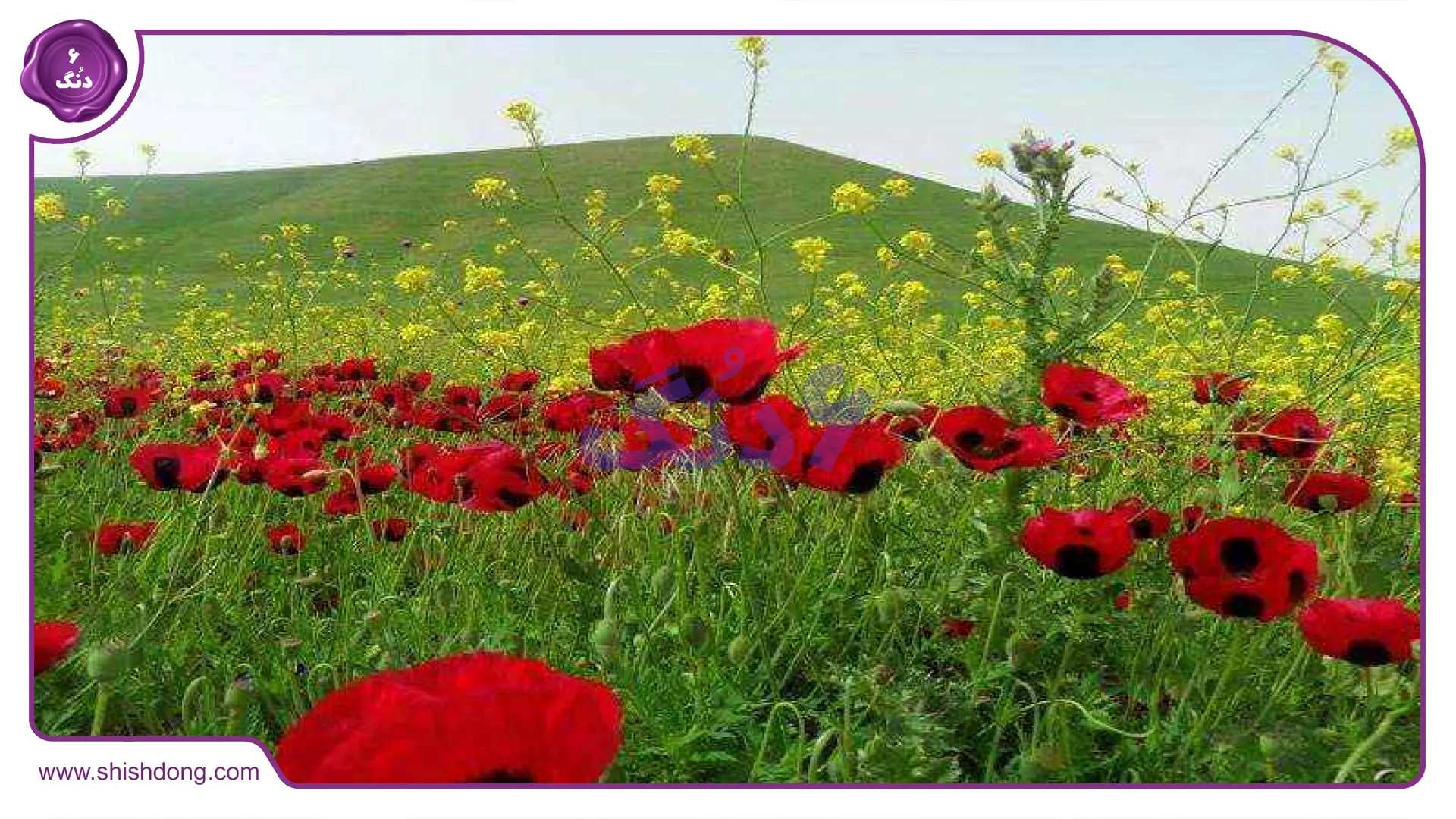 طبیعت زیبای استان اردبیل