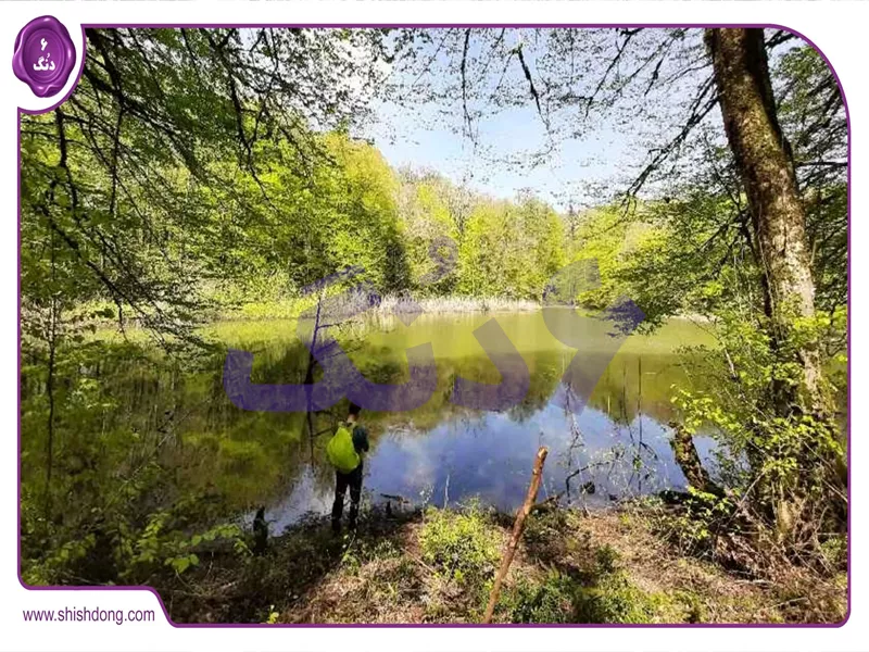 دریاچه گل پل قائمشهر