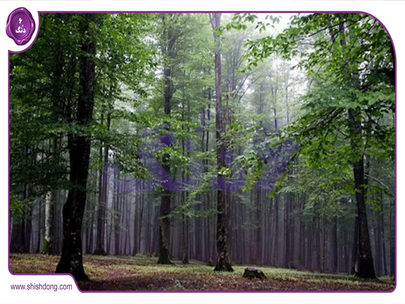 منطقه حفاظت&zwnj;شده خیبوس قائمشهر