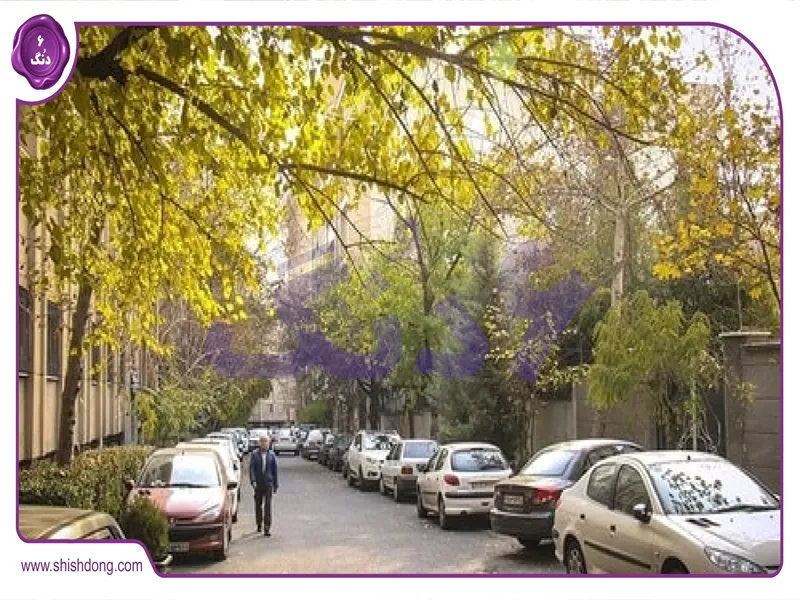 خیابان تاجیکی: قلب فرهنگی