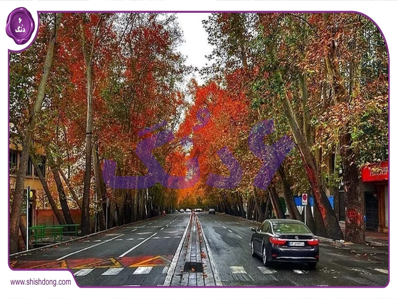 خیابان تجریش: آپارتمان سوپرلوکس