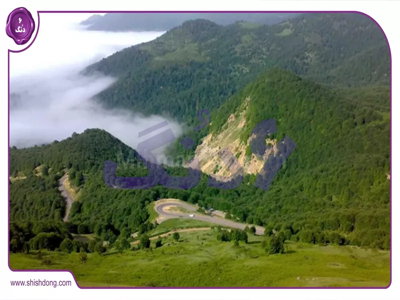 جنگل سرسبز سیاهکل نزدیک کاروانسرای تی تی ۱۴۰۴