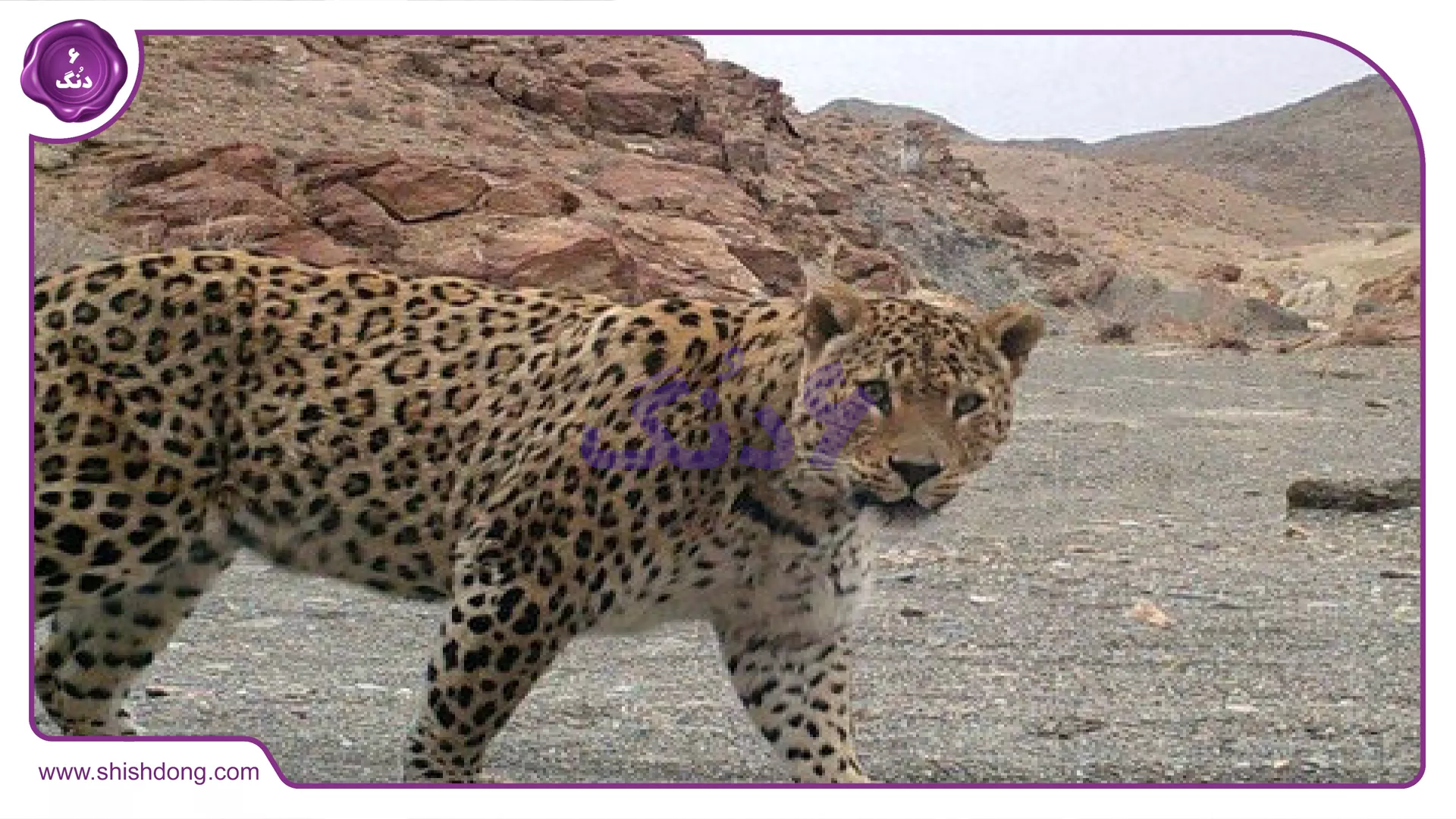 منطقه محافظت شده در تربت‌حیدریه