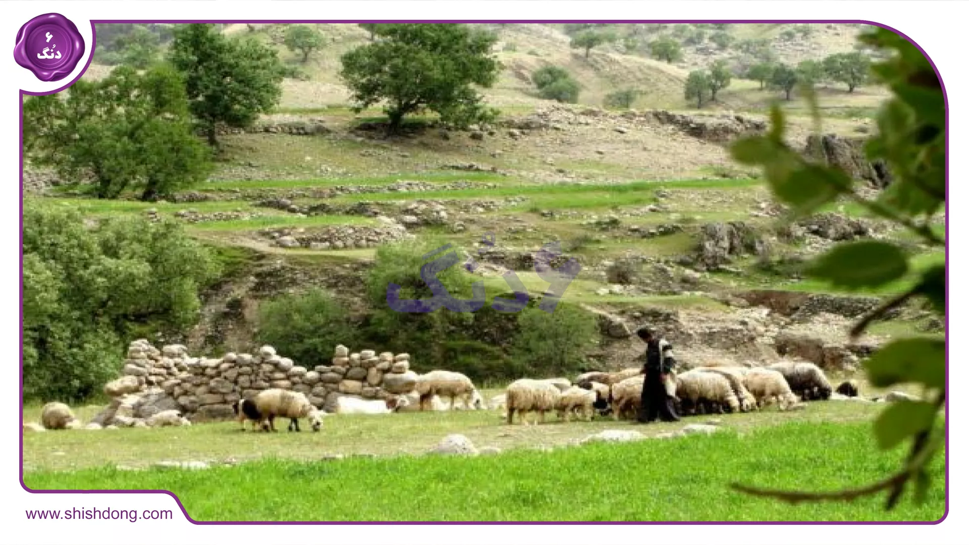طبیعت شهر لالی