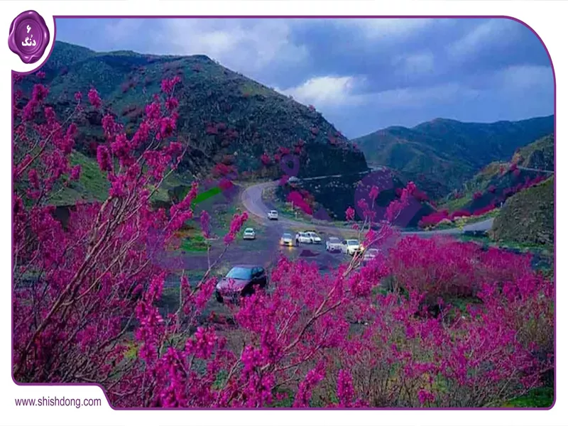 بهترین زمان بازدید از دره چریک درگز