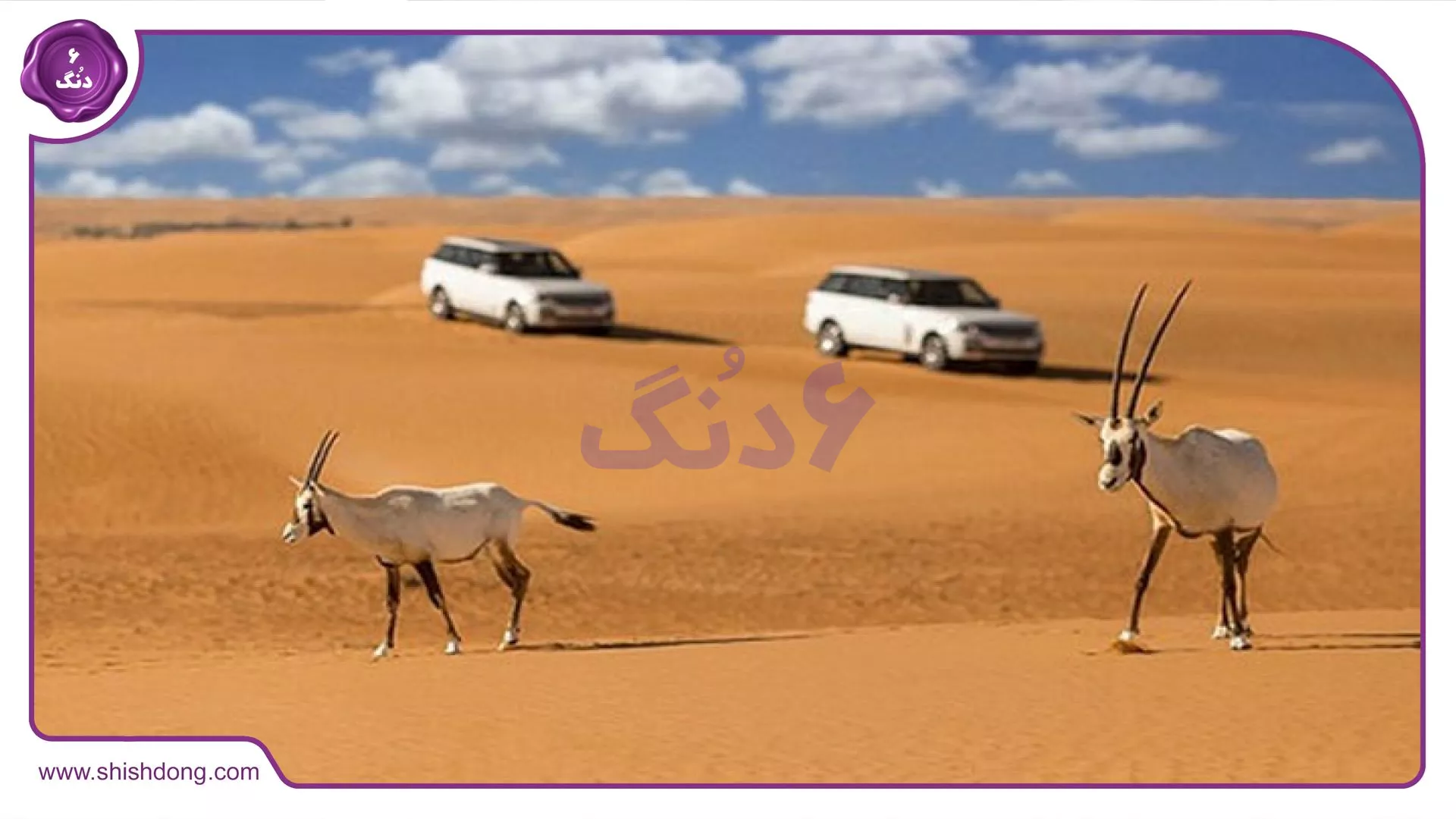 کویر مرنجاب کاشان با تپه‌های شنی و کاروانسرای صفوی