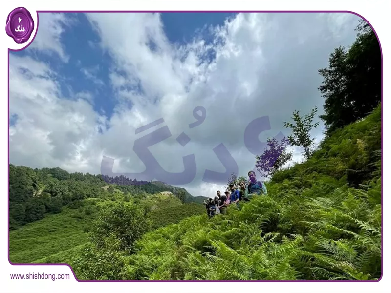 مسیر جنگلی به آبشار لوشکی