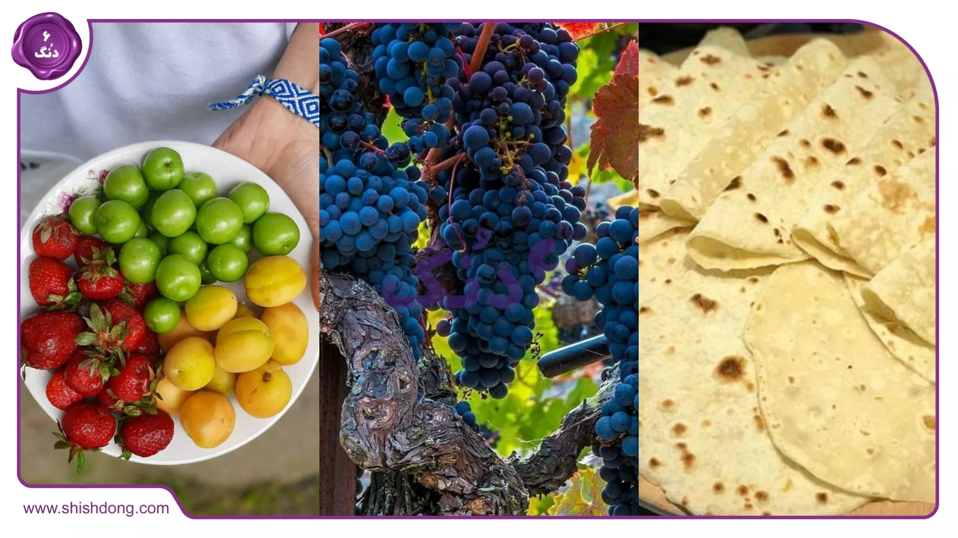 غذاهای تاکستان