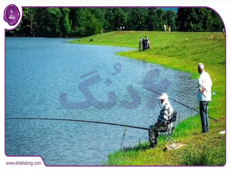 ماهیگیری در دریاچه نورماس با منظره جنگل هیرکانی
