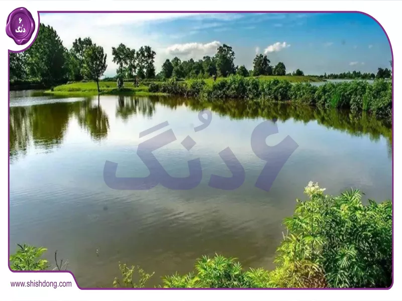 عکس دریاچه نورماس گیلان در بهار با درختان سبز و آب زلال