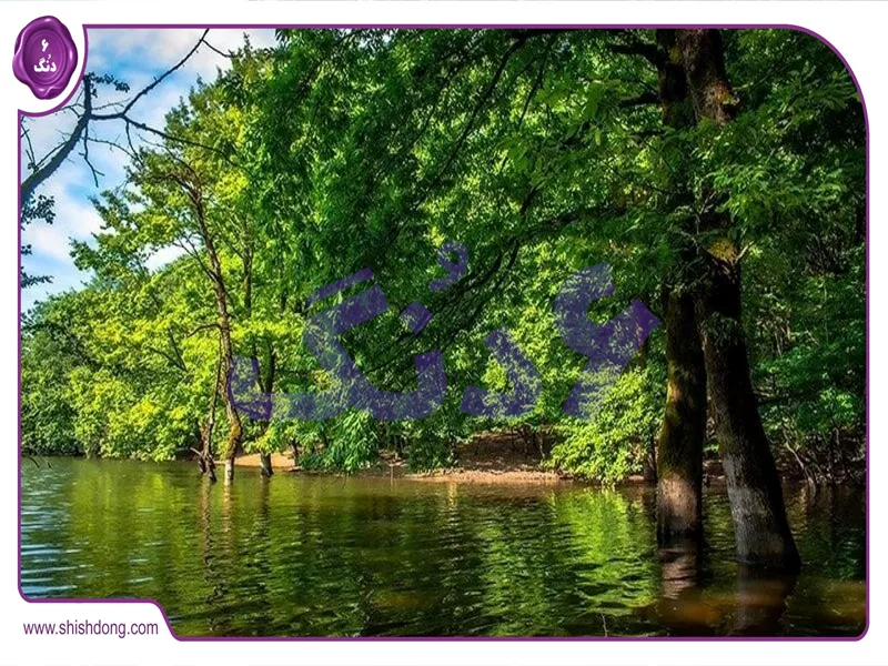 دریاچه نورماس در یک نگاه با ویژگی‌های طبیعی گیلان