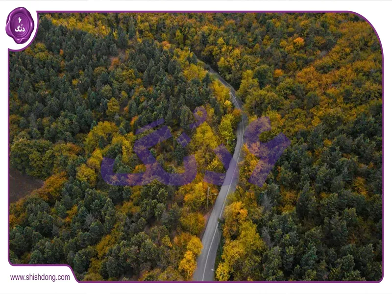 جنگل‌های هیرکانی اطراف دریاچه نورماس با درختان کهنسال