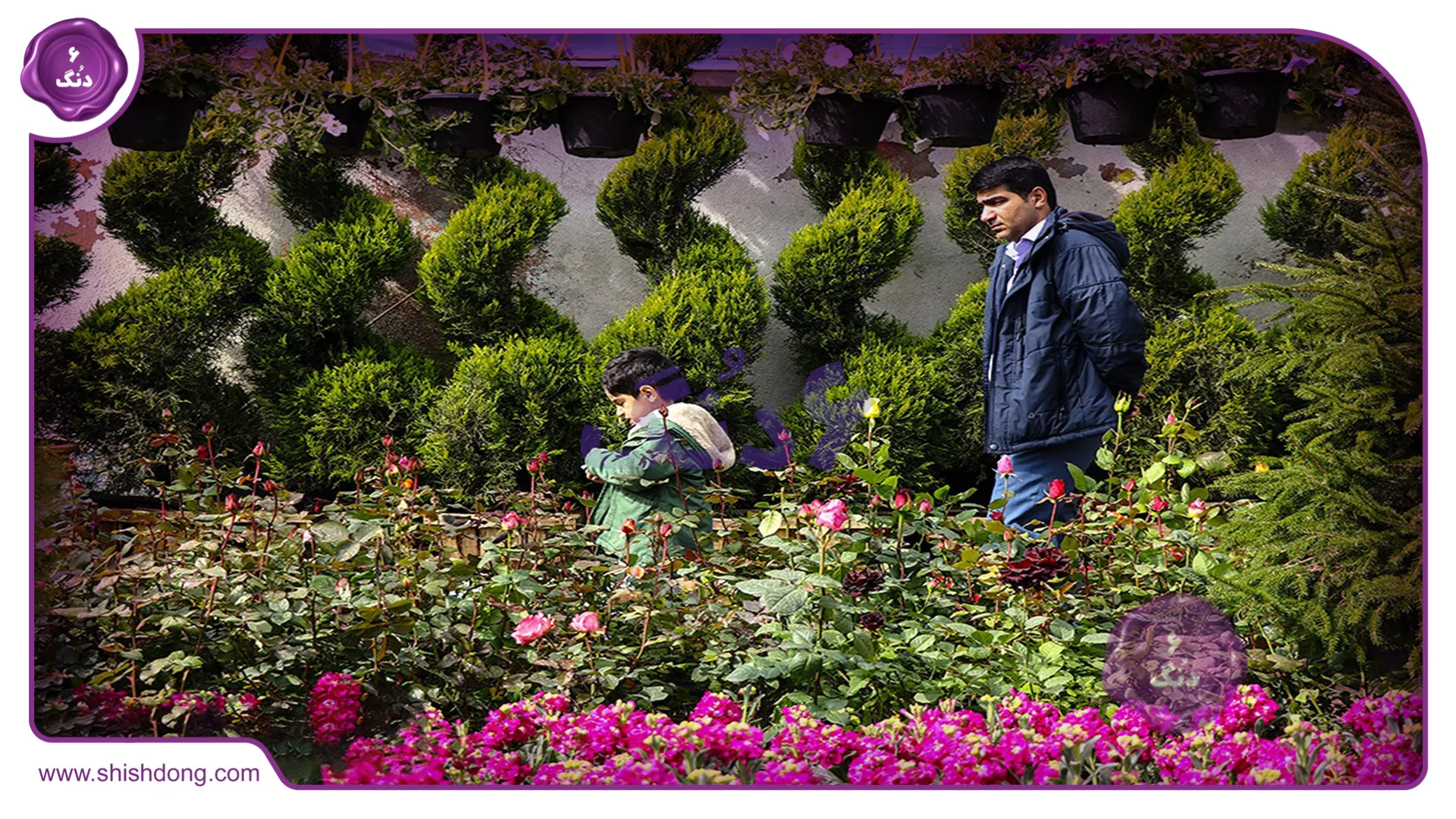 باغ گلهای شیراز