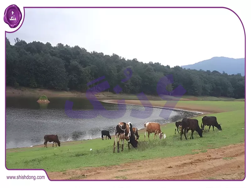 مقدمه دریاچه نورماس گیلان با تمرکز بر زیبایی‌های طبیعی