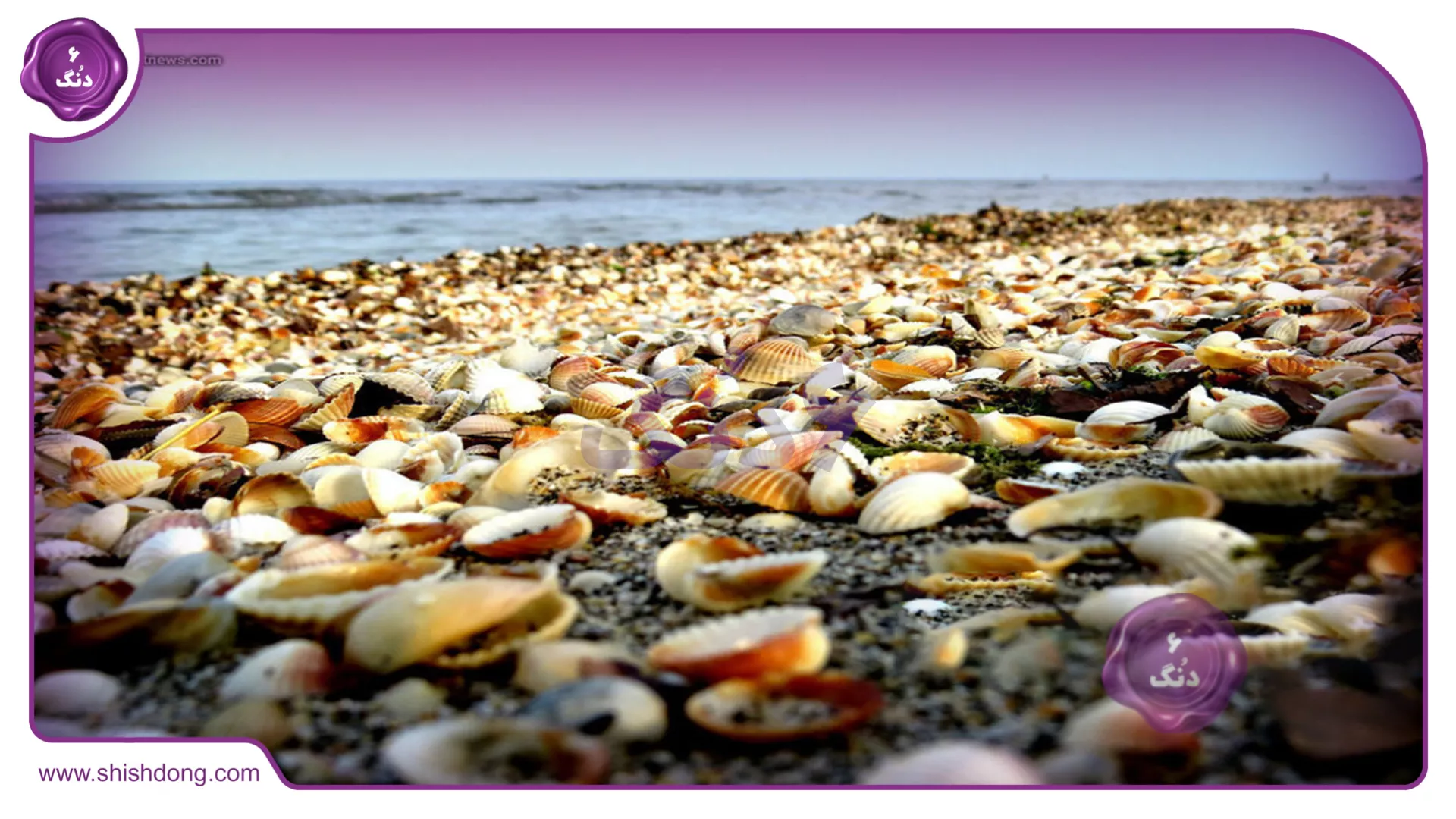 زیبایی طبیعی ساحل صدف رامسر