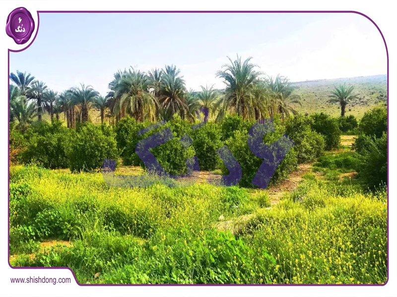 مناظر سرسبز و طبیعی شهرستان جویم