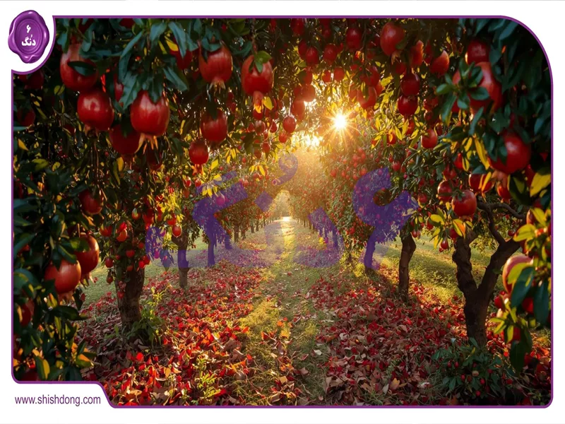 زمین باغی سرسبز در اصفهان با منظره تاریخی