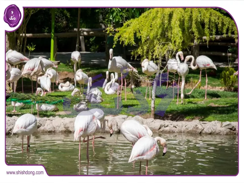 باغ پرندگان اصفهان، جاهای دیدنی اصفهان برای کودکان