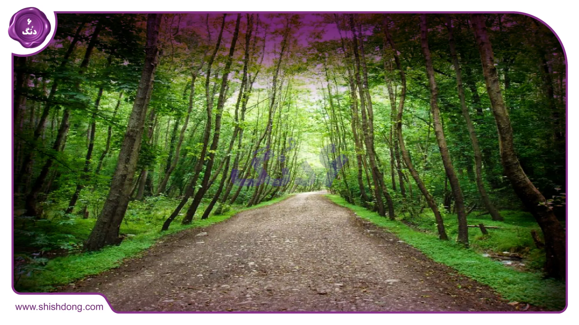 طبیعت زیبای شهر نور