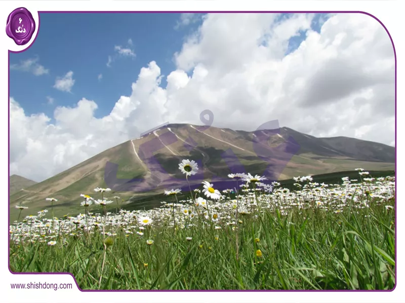 مراغه - طبیعت سهند و املاک مدرن