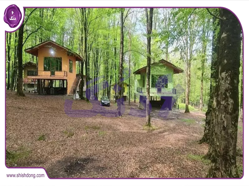 پارک جنگلی امام رضا در کردکوی