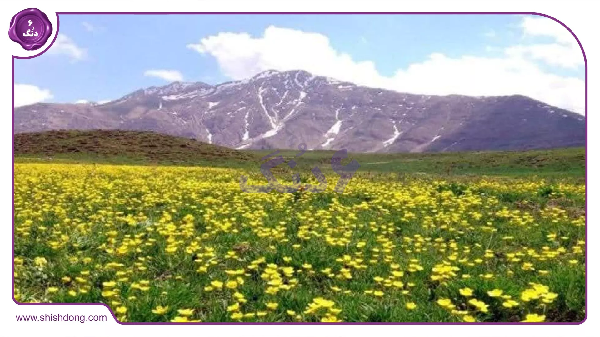 دشت سیاه پالاس