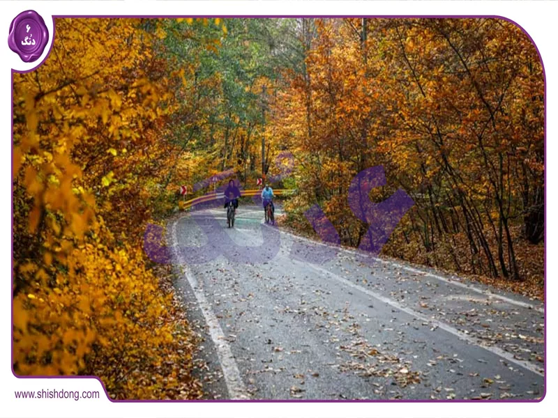 جاده درازنو