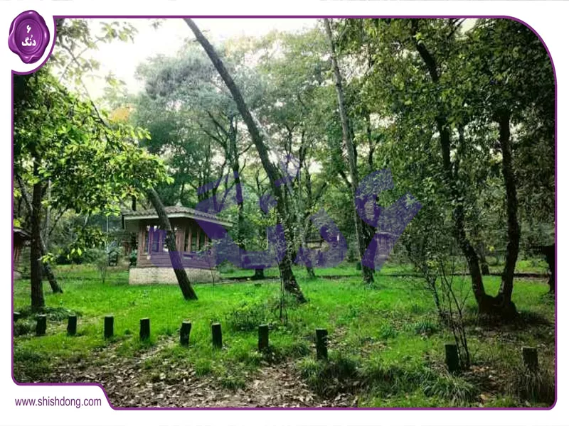 جنگل شهید زارع ساری