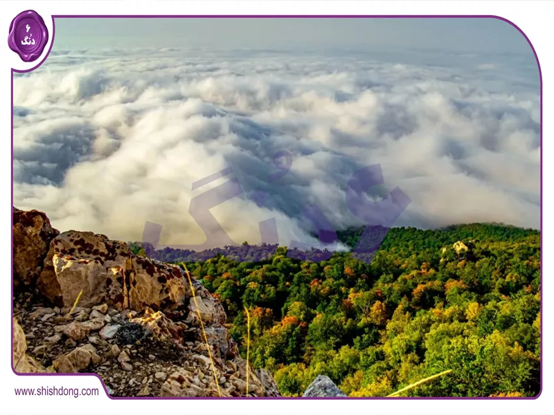 پوشش گیاهی درازنو