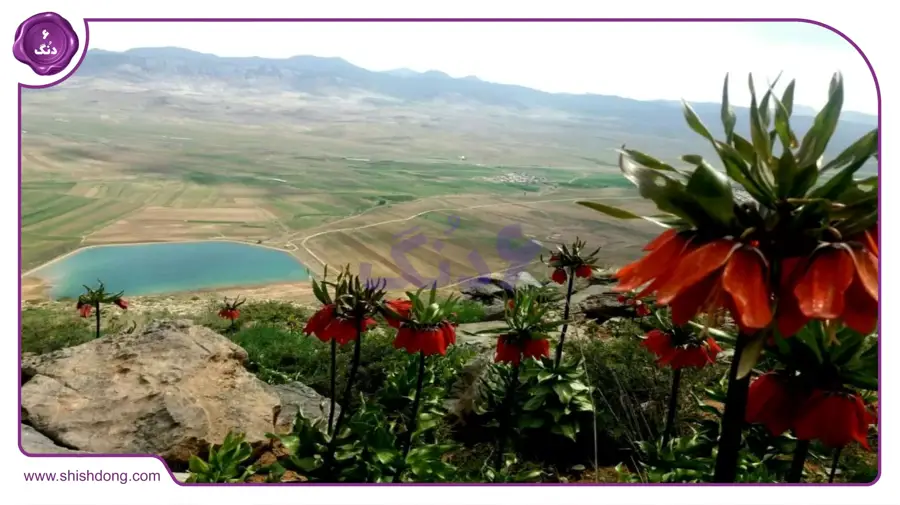 طبیعت زیبای تیرانوکرون