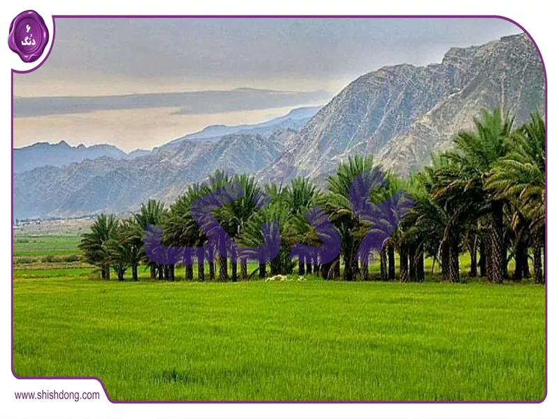 بوشهر - آب و هوای بوشهر و جاهای دیدنی بوشهر
