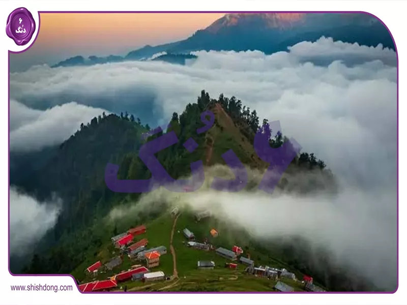 پارک جنگلی ماسوله فومن درختان راش