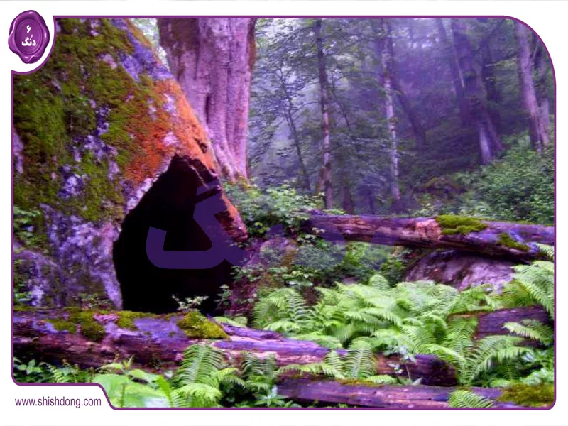 غار خون فوشه فومن ۳۰۰۰ ساله