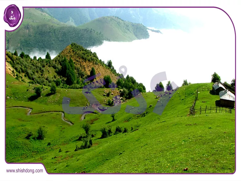 طبیعت ماکلوان فومن با باغهای چای