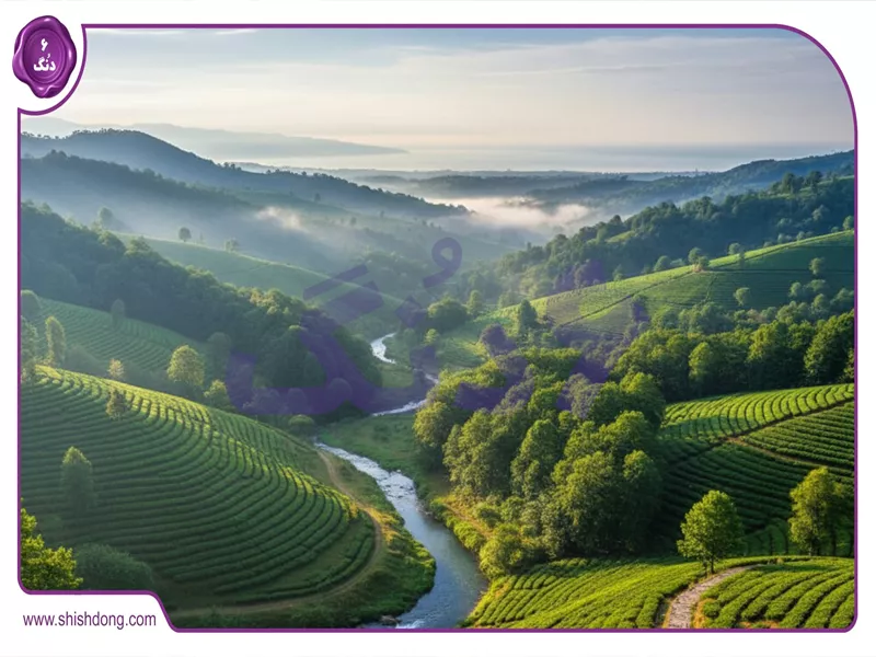 هوای پاک گیلان