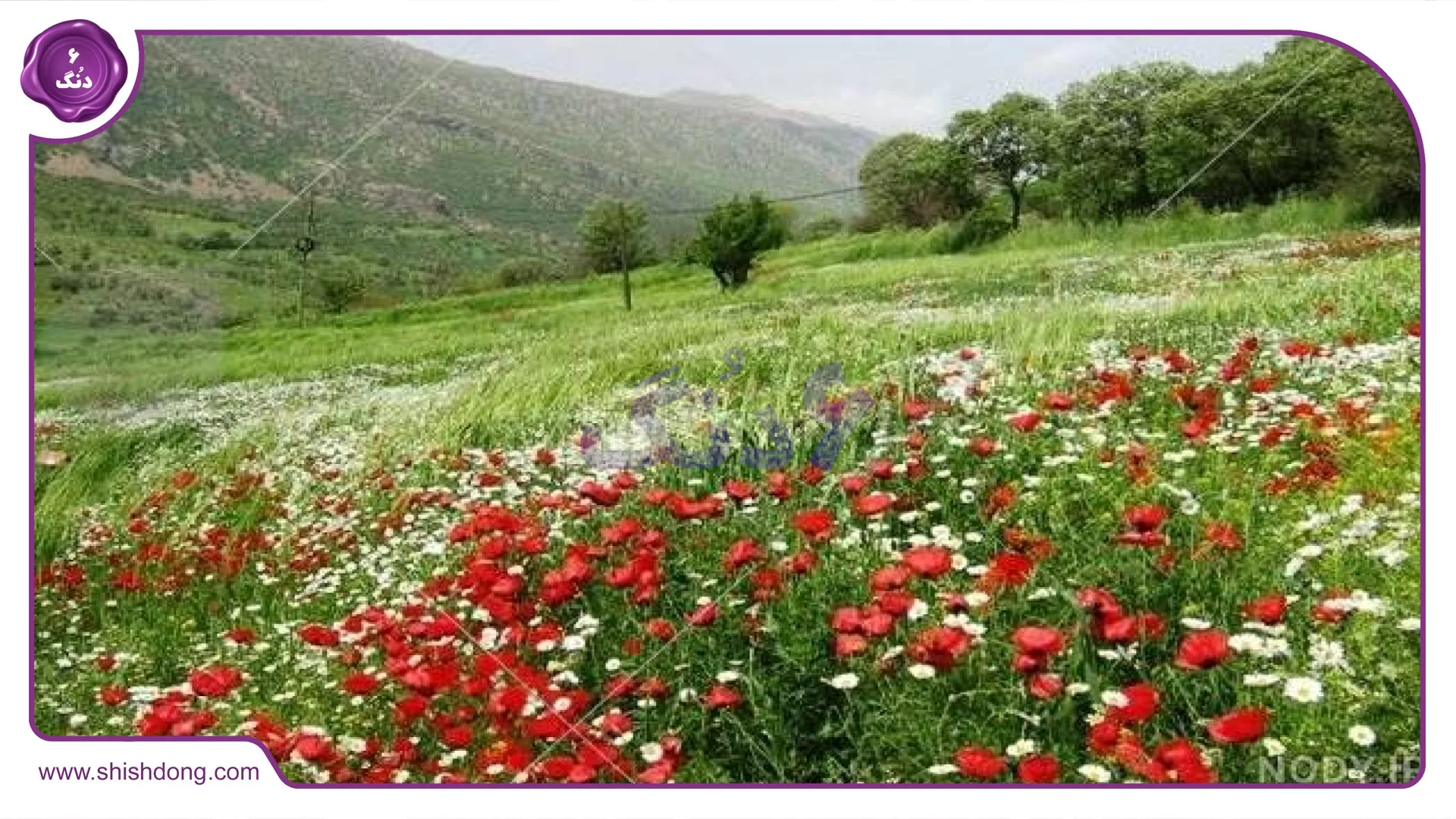 طبیعت بهاری بانه با کلمات کلیدی هواشناسی بانه